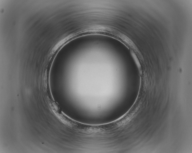 X0000086340842200703301253