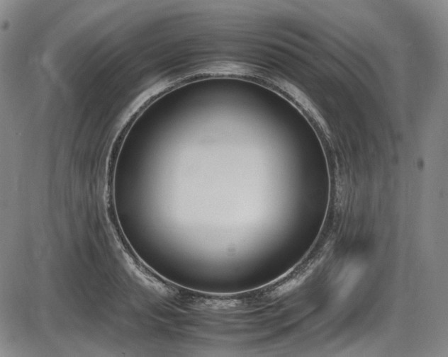 X0000086340845200703301253
