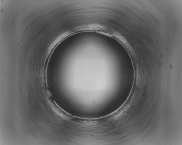 X0000086340850200703301254