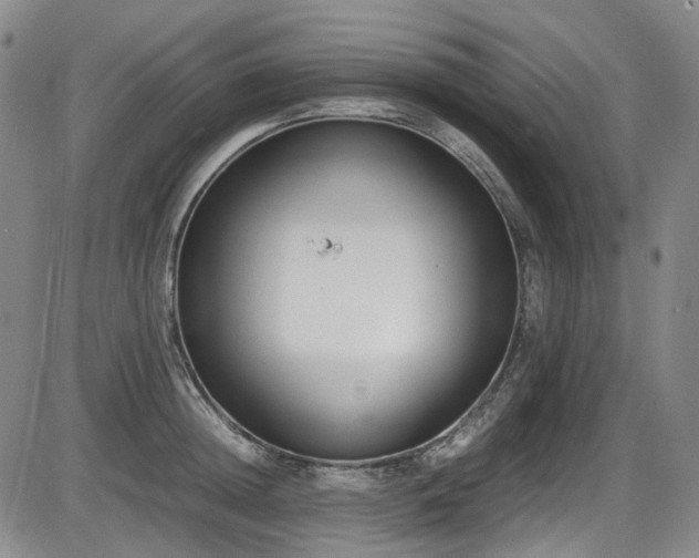X0000086340852200703301254