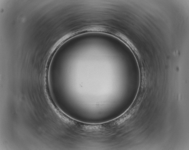 X0000086340853200703301254
