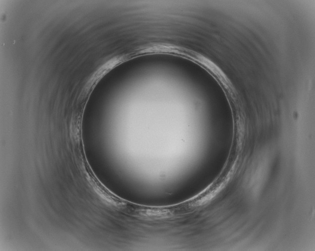 X0000086340857200703301254