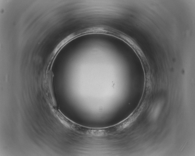 X0000086340858200703301254