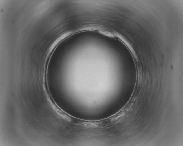 X0000086340861200703301254