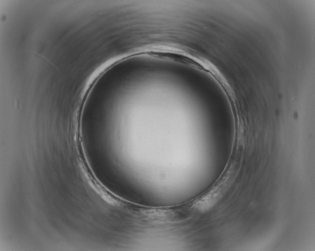 X0000086340862200703301254