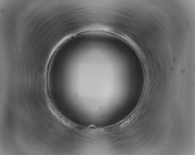 X0000086340864200703301254