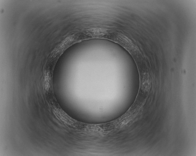 X0000086340866200703301253