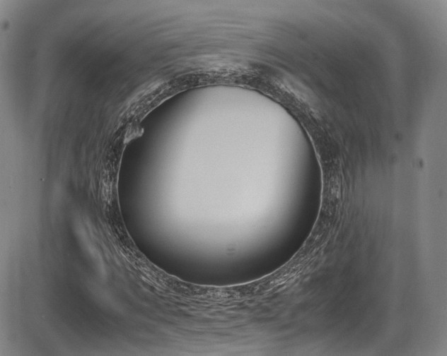 X0000086340869200703301253