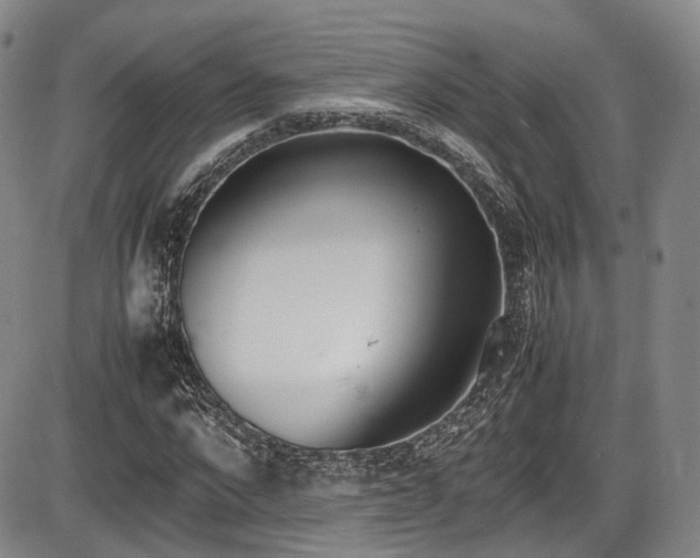 X0000086340872200703301253