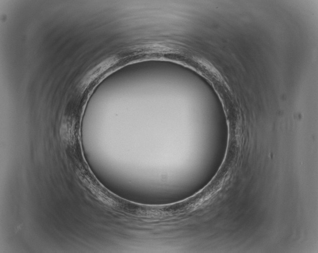 X0000086340873200703301253