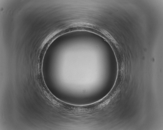X0000086340877200703301253