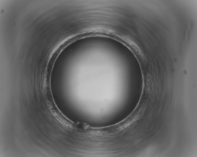 X0000086340880200703301253