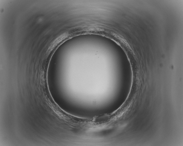 X0000086340881200703301253