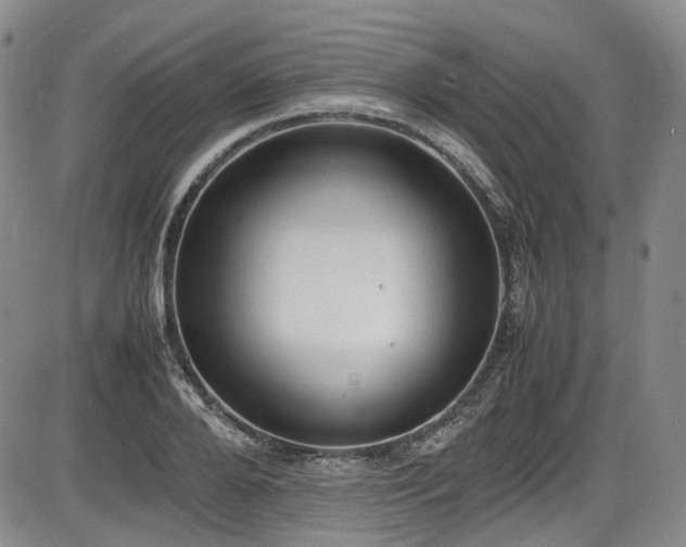 X0000086340888200703301253