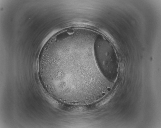 X0000086340891200703301253