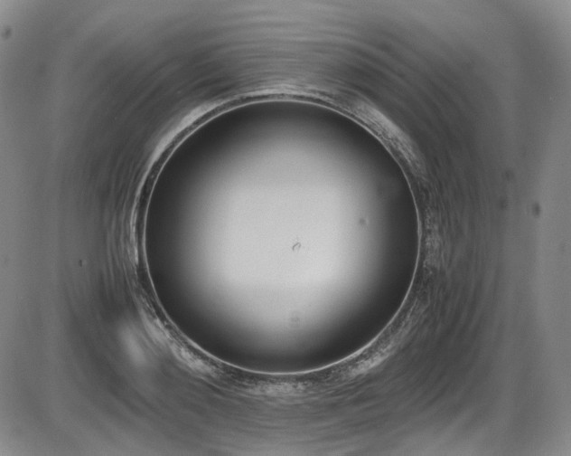 X0000086340892200703301253