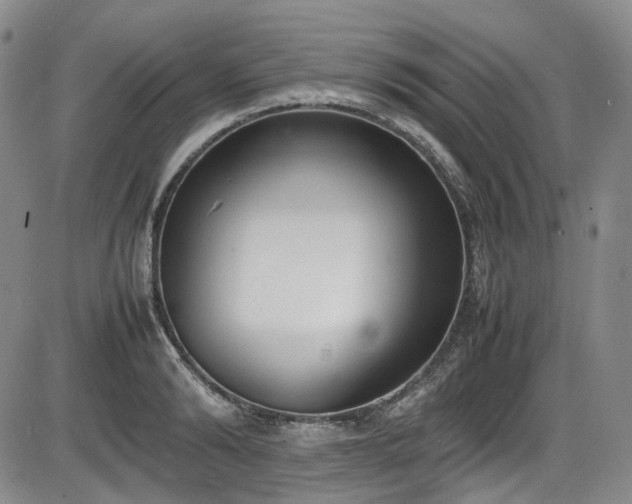 X0000086340894200703301252