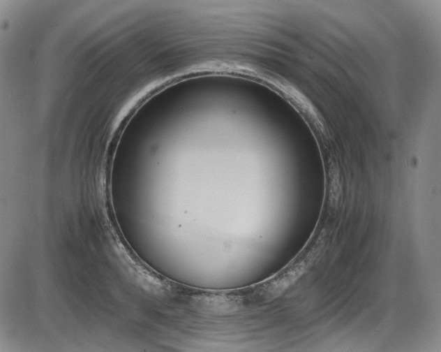 X0000086340896200703301252