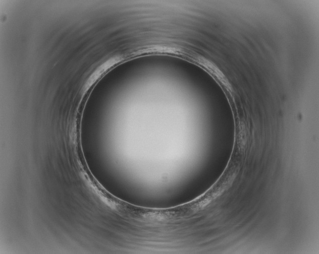 X0000086340898200703301252