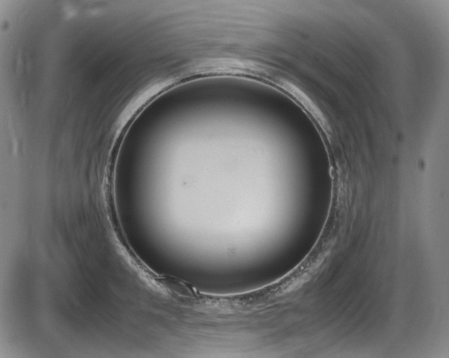 X0000086340901200703301252