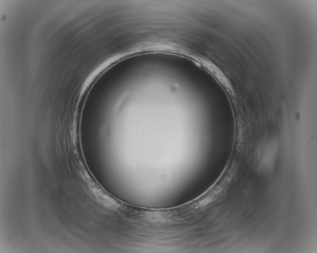 X0000086340904200703301252