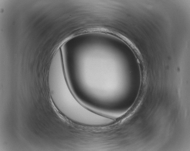 X0000086340905200703301252