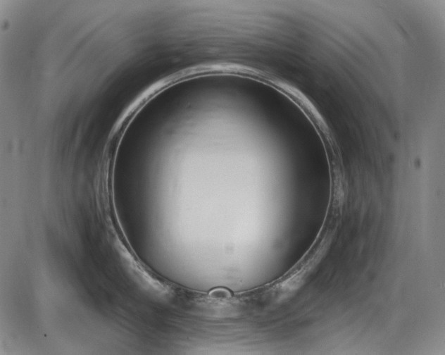X0000086340910200703301252