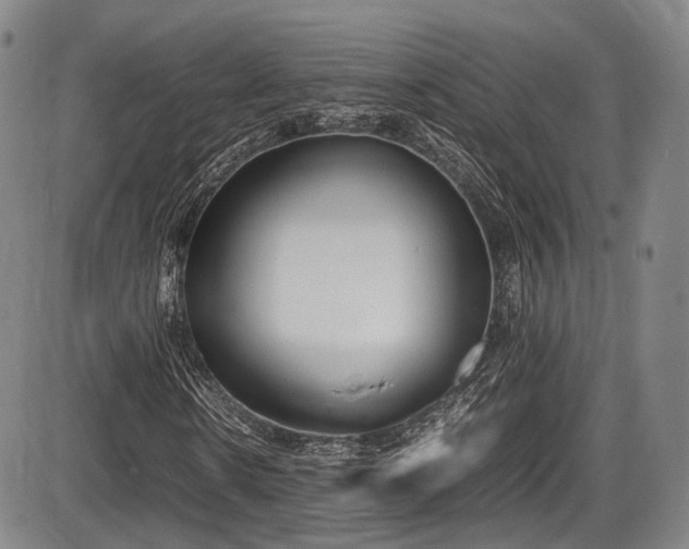 X0000086340914200703301251