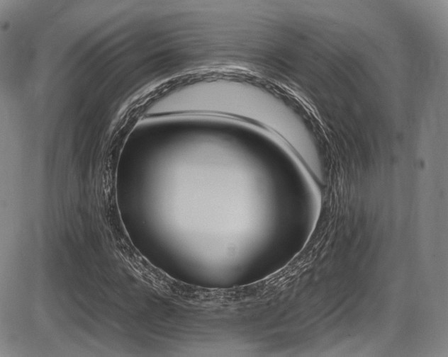 X0000086340920200703301252