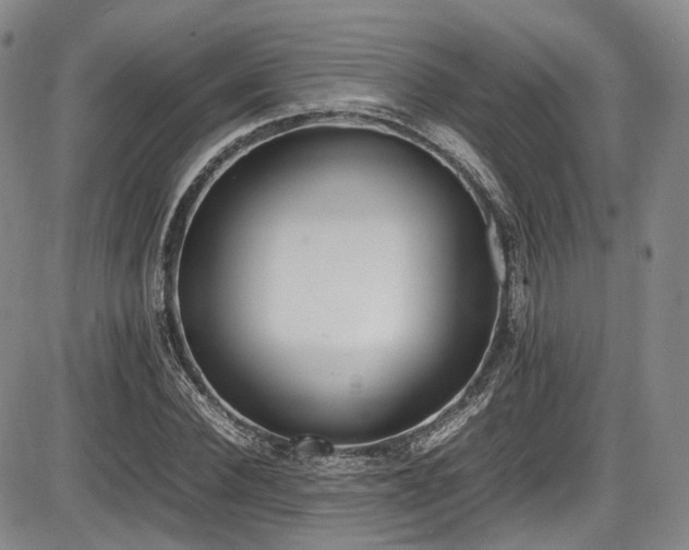 X0000086340924200703301252