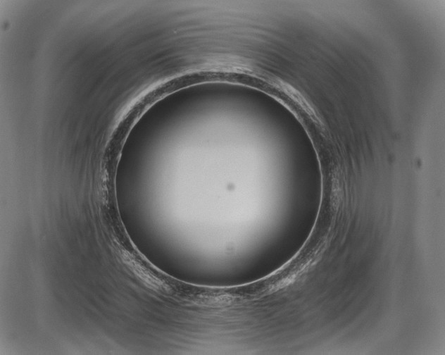 X0000086340926200703301252