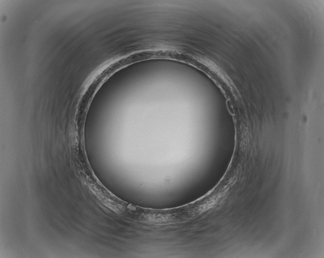 X0000086340927200703301252