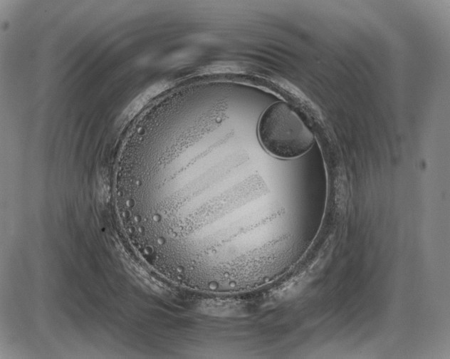 X0000086340929200703301252