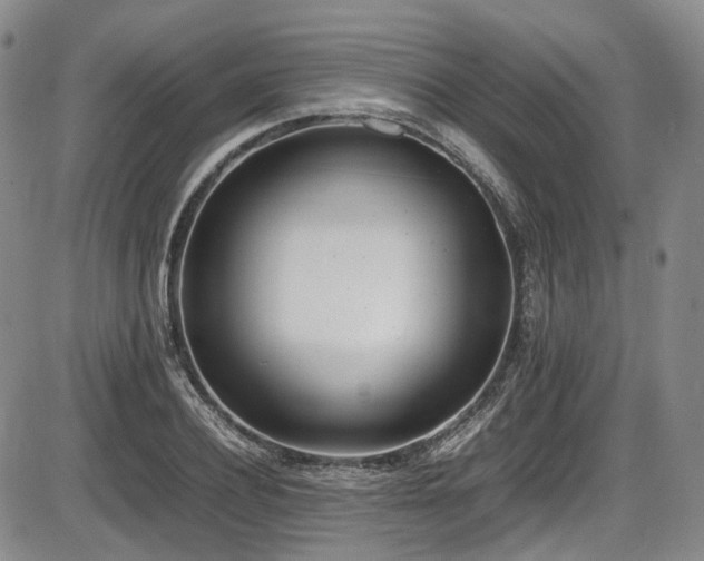X0000086340932200703301252