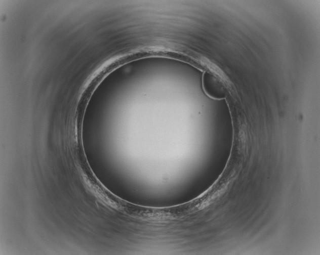 X0000086340934200703301252