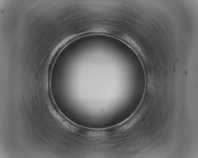 X0000086340939200703301252