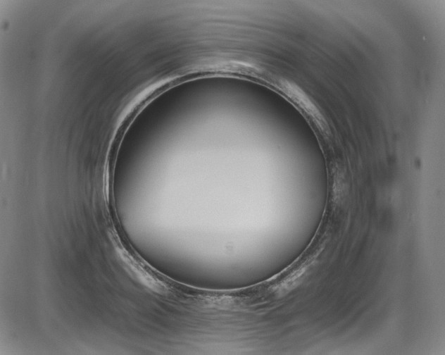 X0000086340940200703301252