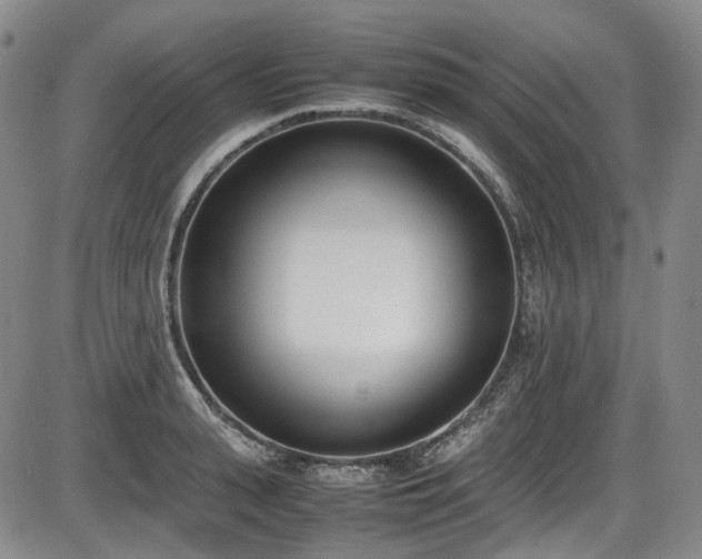 X0000086340943200703301252