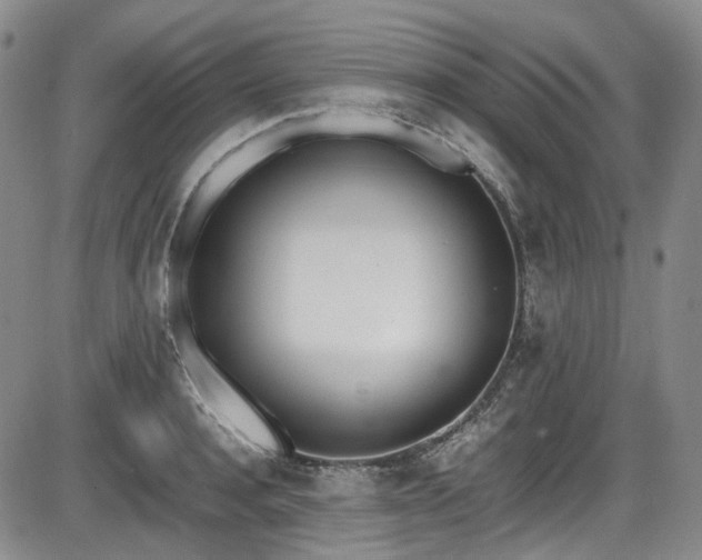 X0000086340944200703301252