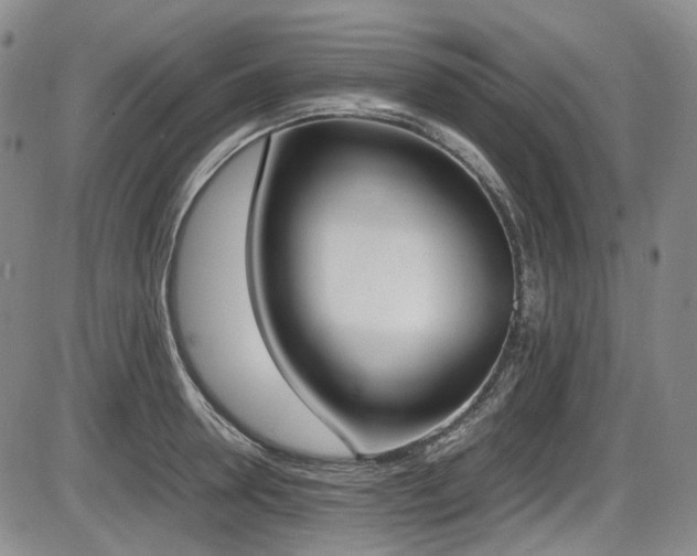 X0000086340946200703301252
