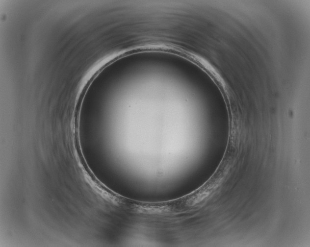 X0000086340951200703301252