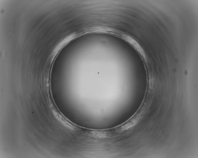 X0000086340954200703301252