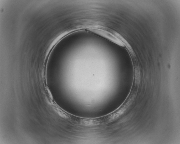 X0000086340956200703301252