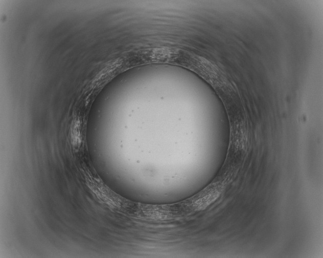 X0000086340962200703301251