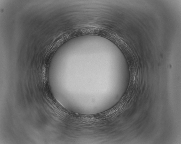 X0000086340964200703301251