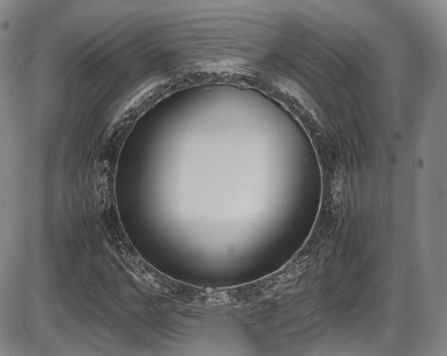 X0000086340968200703301251