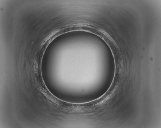 X0000086340969200703301251