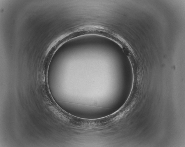 X0000086340973200703301251