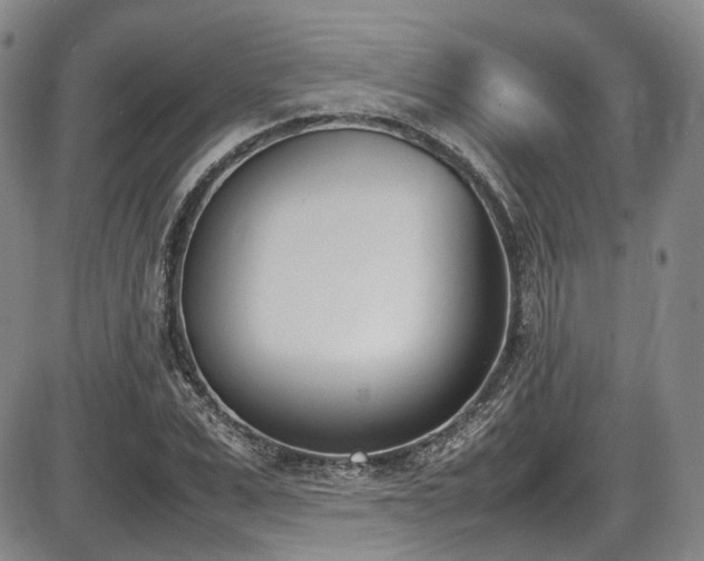 X0000086340975200703301251