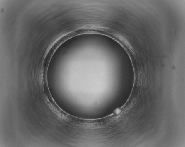 X0000086340976200703301251